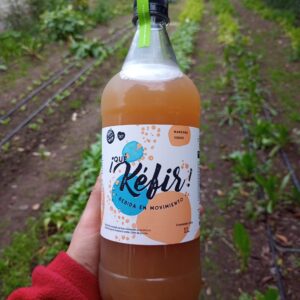 Kefir 1 lt - Manzana Verde (Que Kefir)
