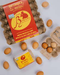 Huevos x 12 Und (Bonomo)